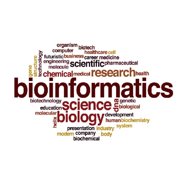 CPE479/ISNE497 Bioinformatics Programming 2/61
